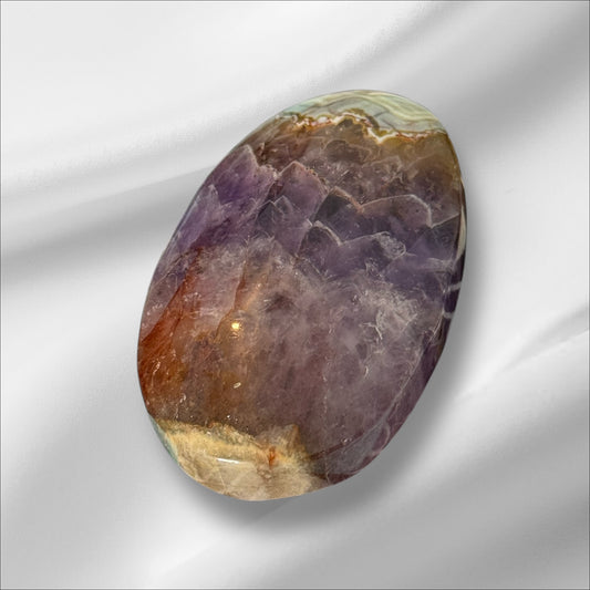 Amethyst Palm