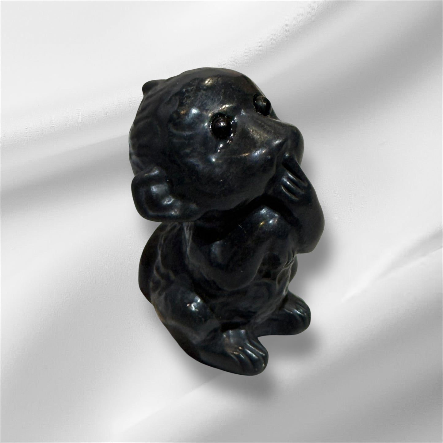 Shungite Monkey