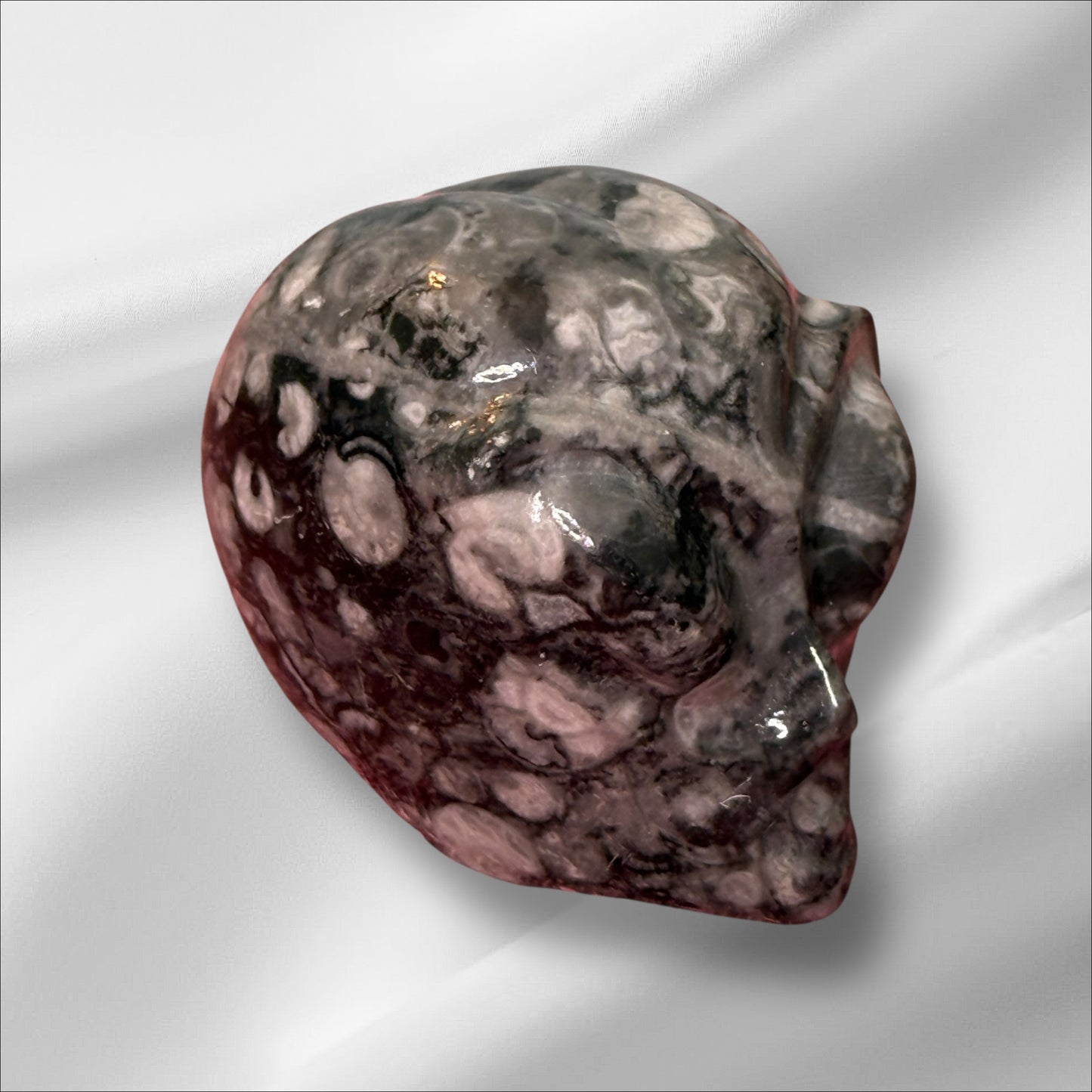 Fossil Jasper Alien