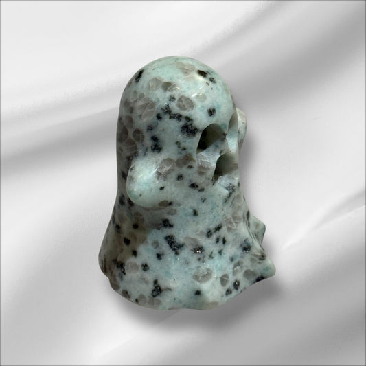 Kiwi Jasper Ghost