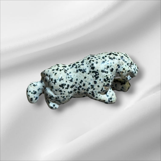 Dalmation Jasper Leopard