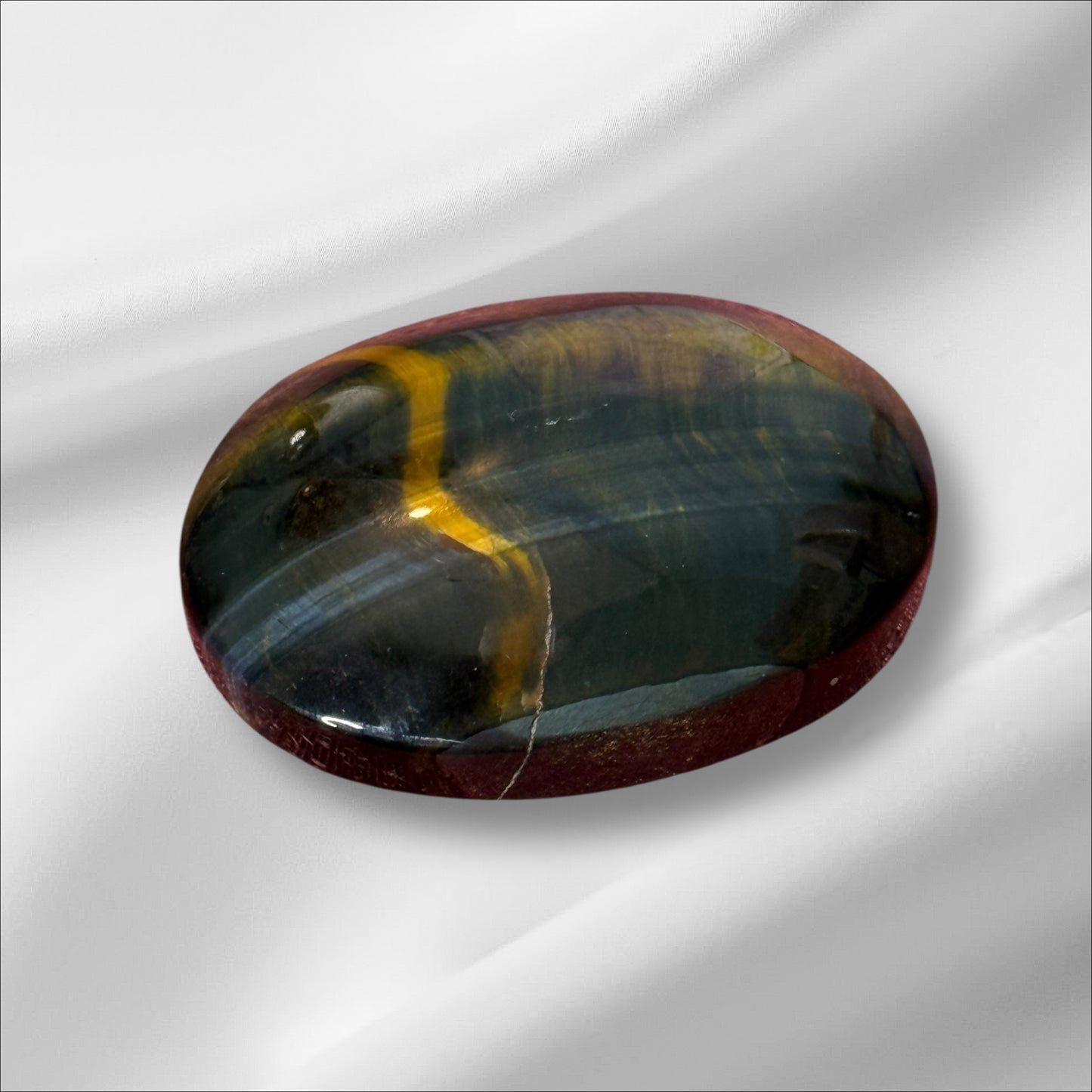 Blue Tiger Eye Palm