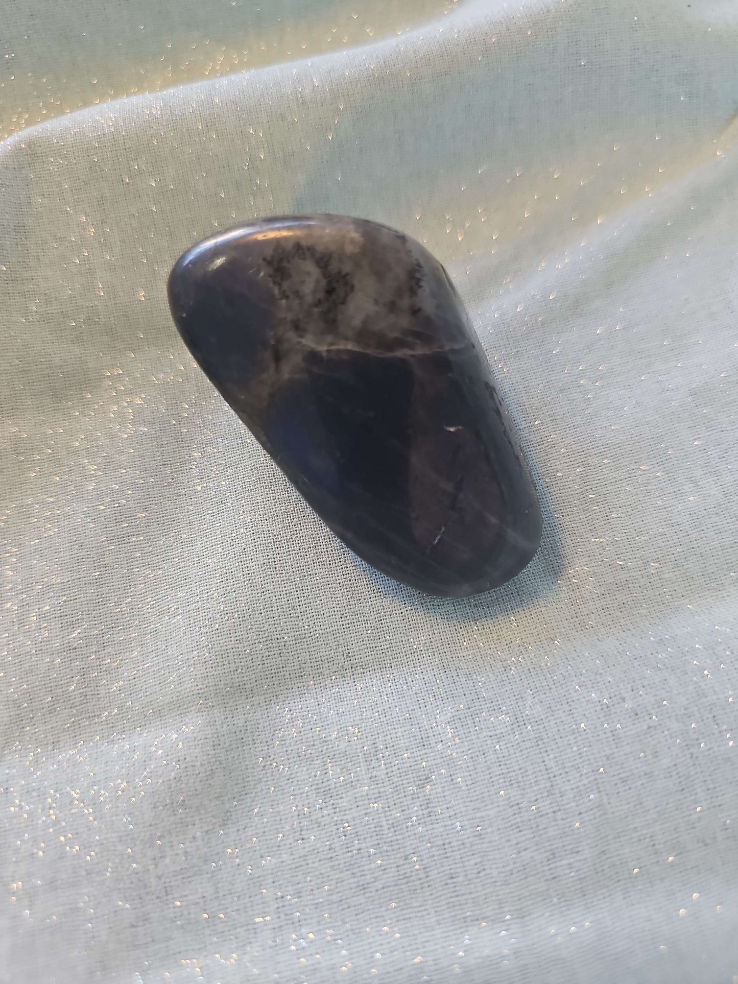 Labradorite Palm # 559 image 0