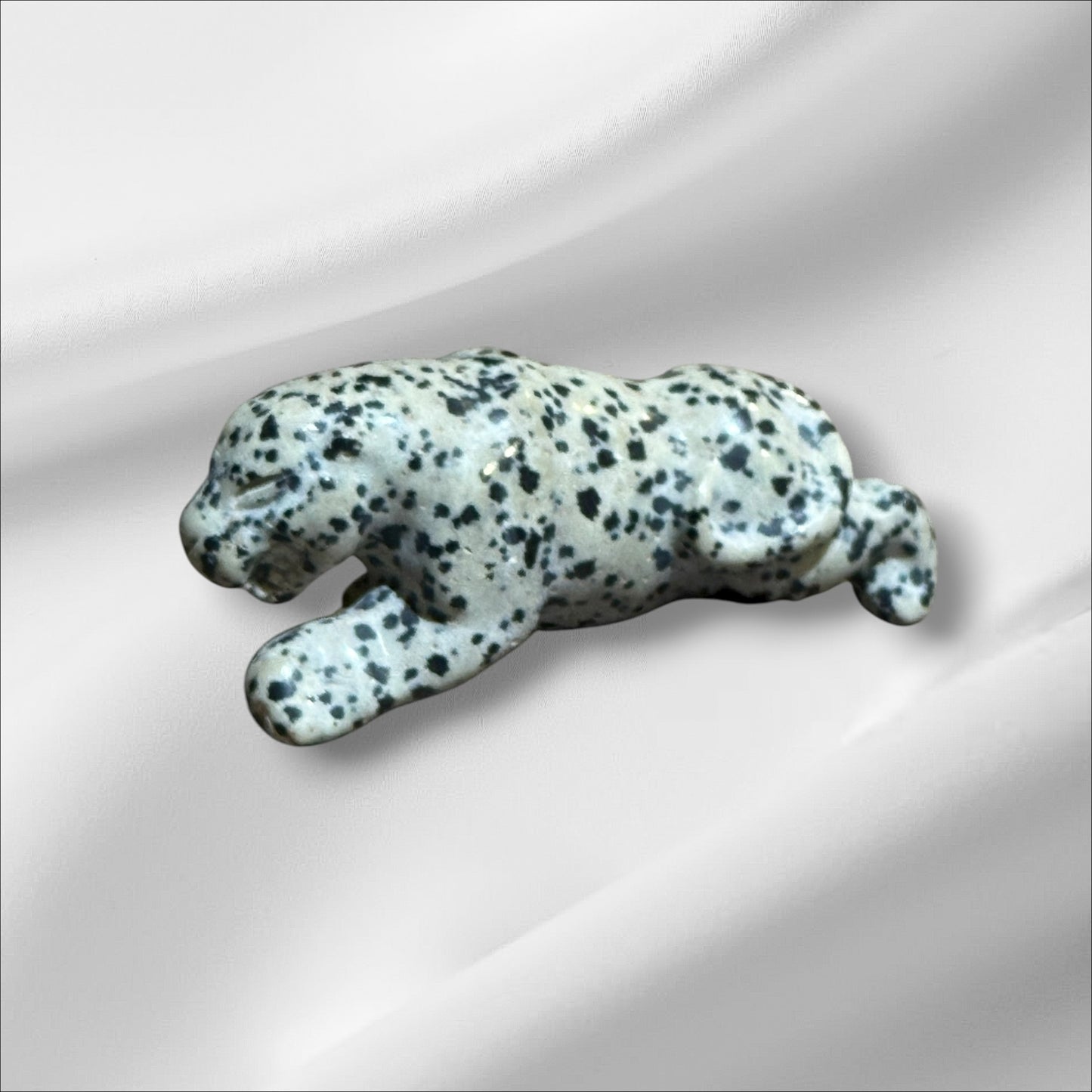 Dalmation Jasper Leopard