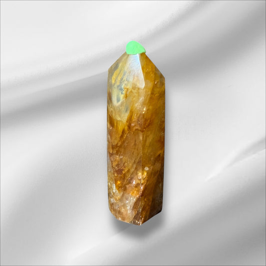 C12-99 Golden Healer