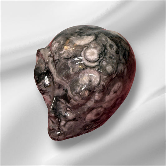 Fossil Jasper Alien