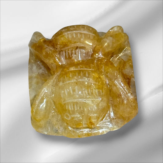 Golden Healer Spider