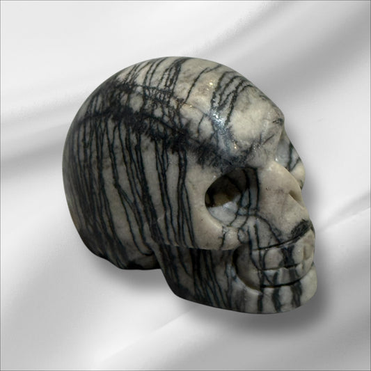 Network Jasper Skull