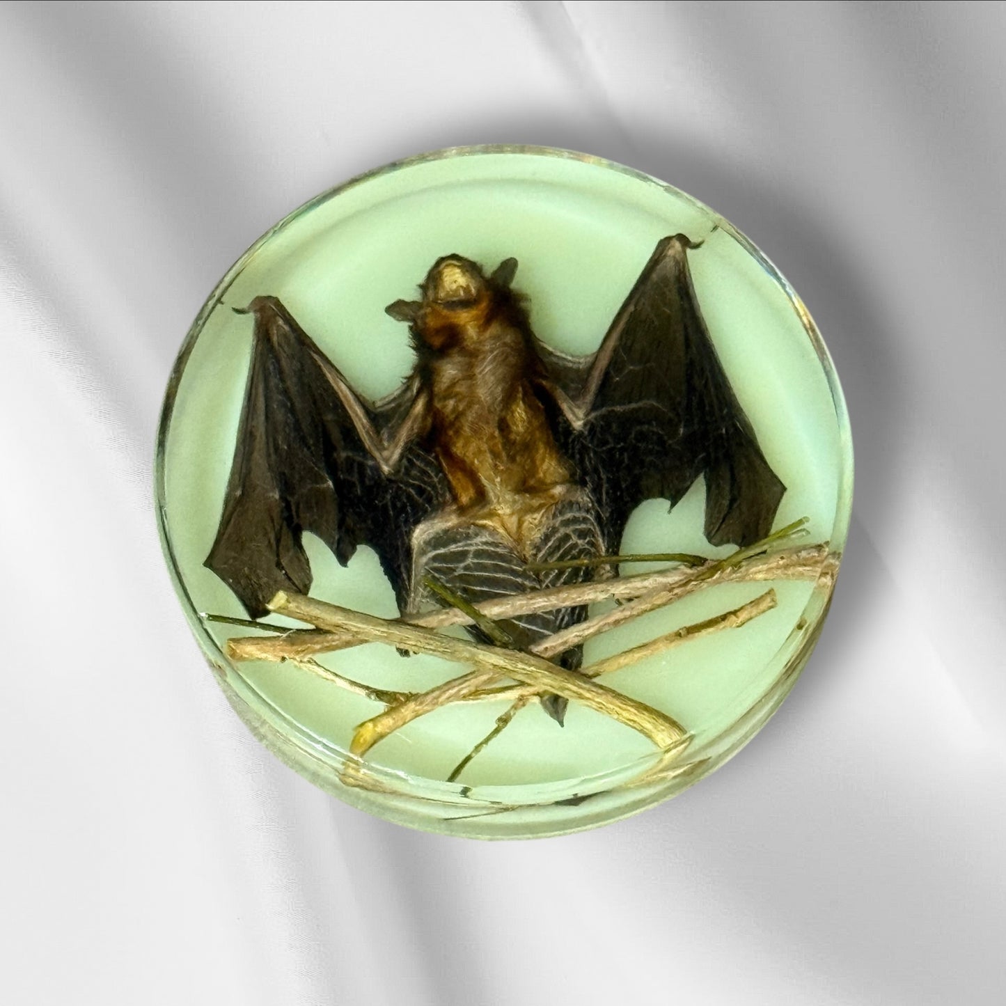 C12-74 Glow-in-the-Dark Resin Bat