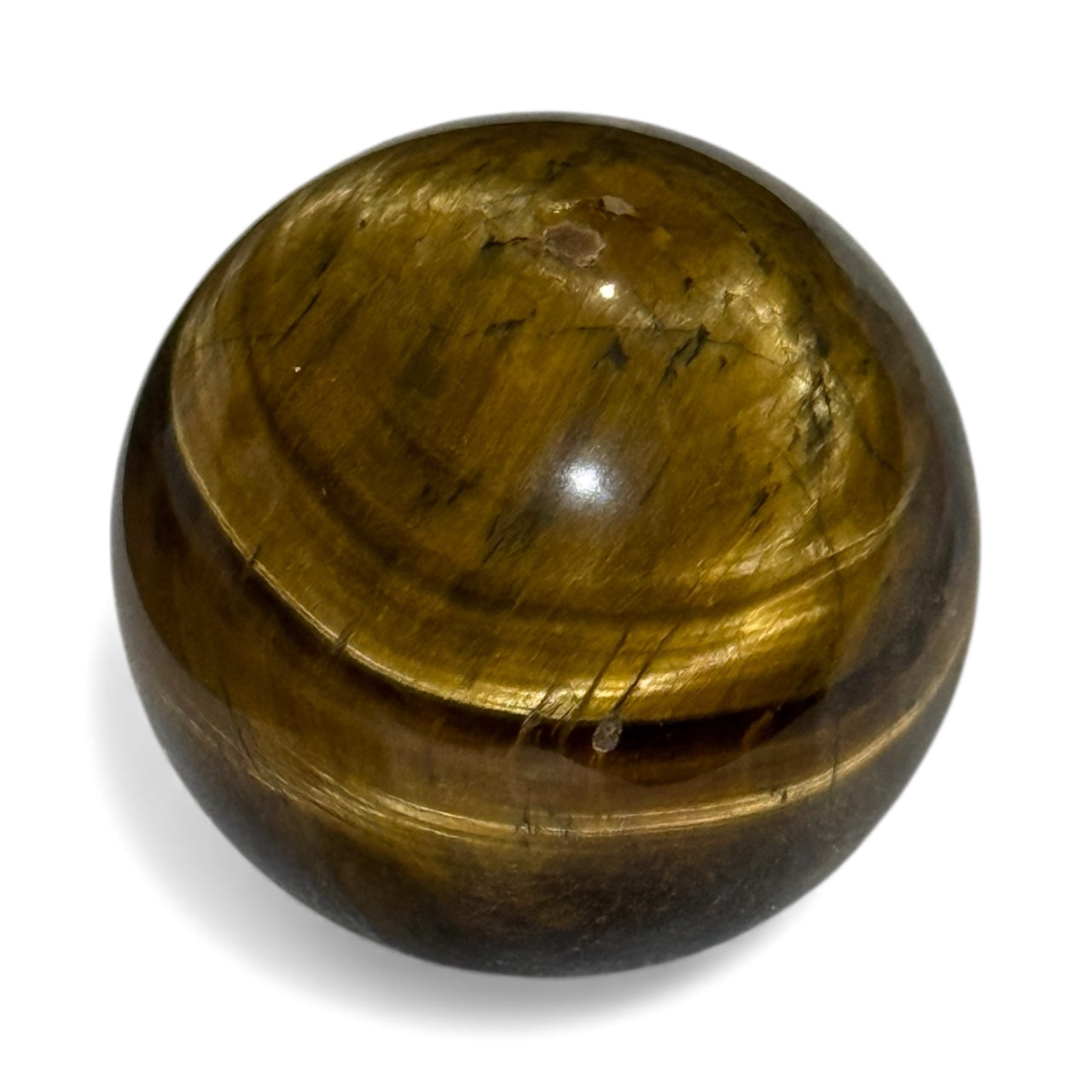 C12-6 Tiger Eye