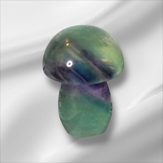 Fluorite Mushroom 2