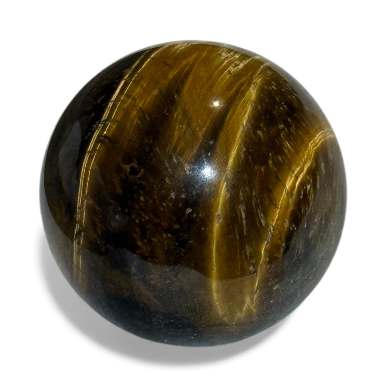 C12-6 Tiger Eye