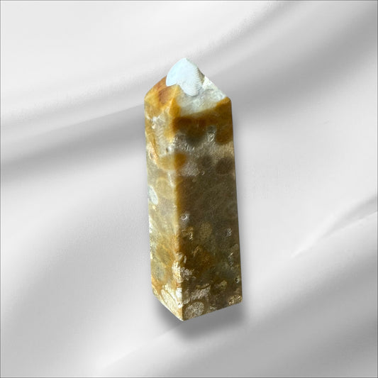 C12-97 Fossilized Coral No. 2