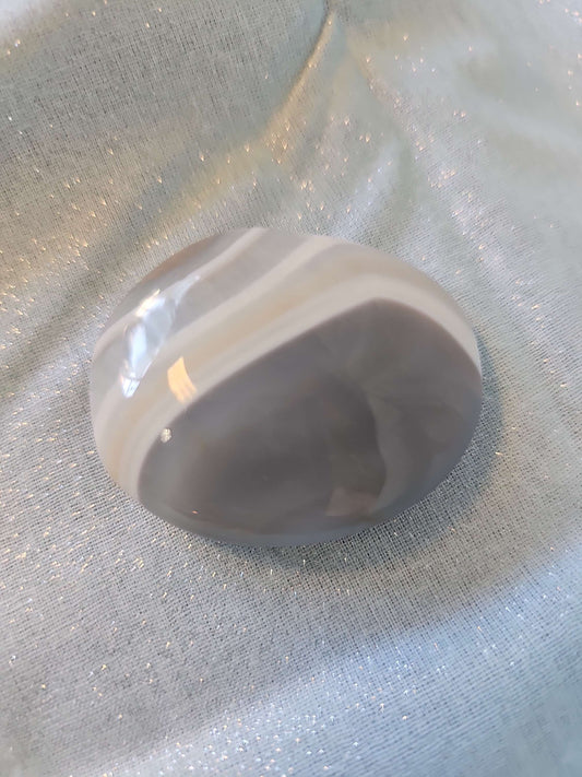 Agate Palm #557 image 0