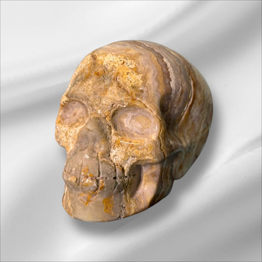 Agate Laced Skull