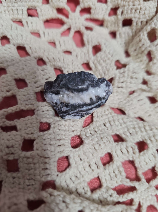 Zebra Marble Stone #R223 image 0