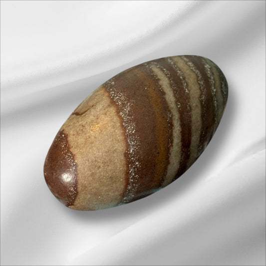Shiva Palm