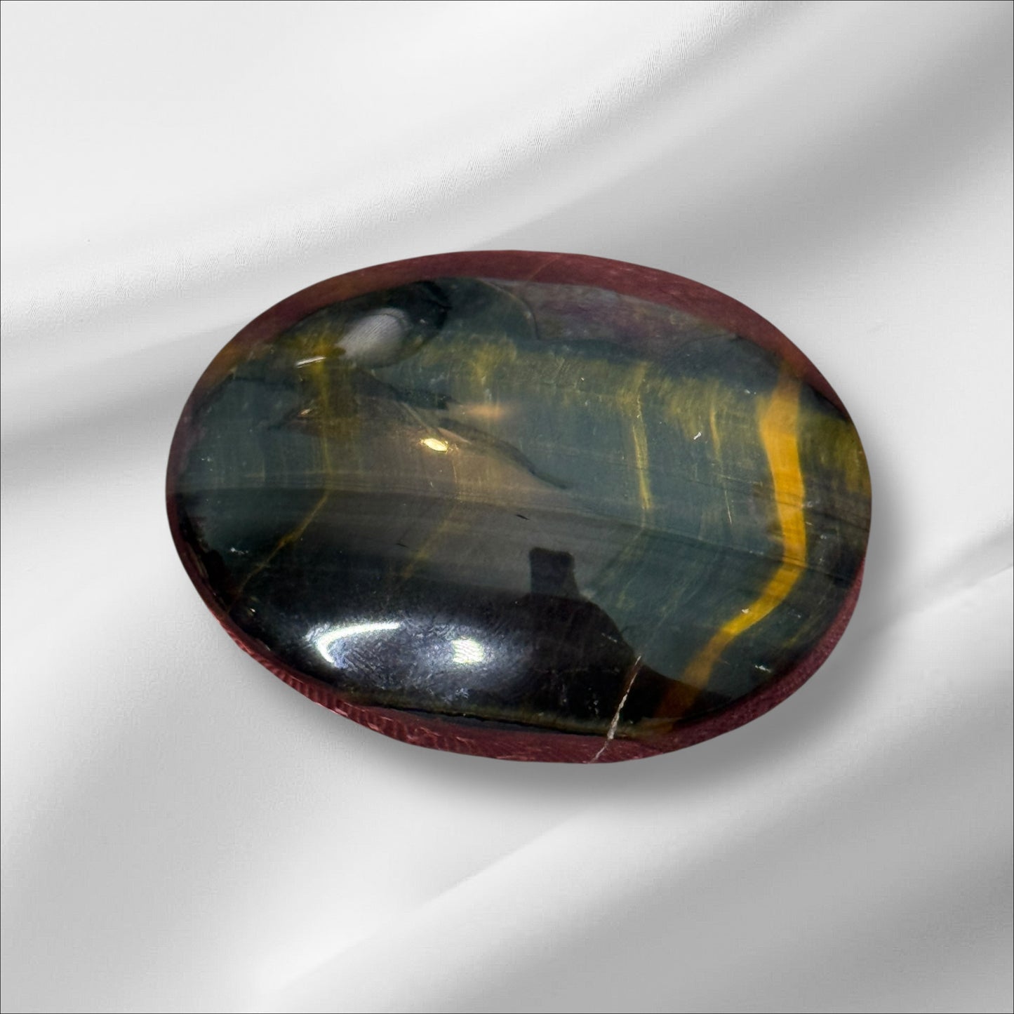 Blue Tiger Eye Palm