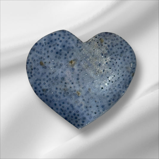 Blue Coral Heart