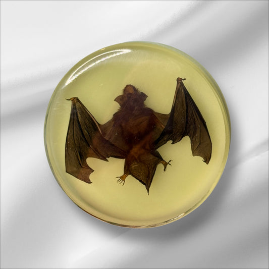 Resin Glow Bat