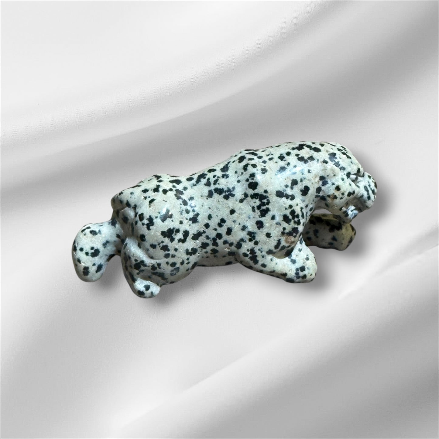 Dalmation Jasper Leopard