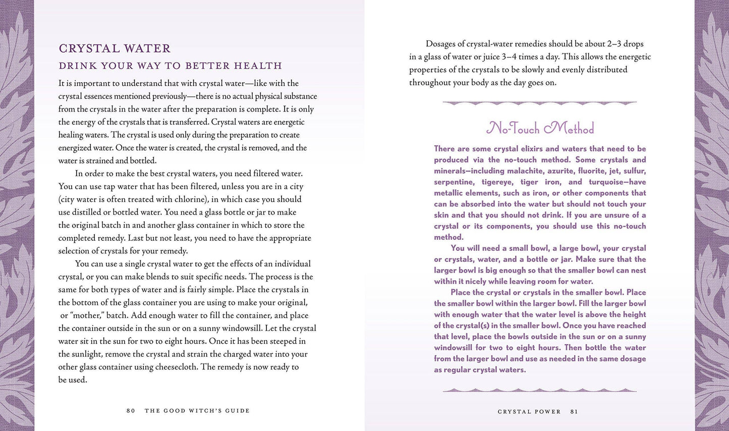 Good Witch's Guide by Shawn Robbins