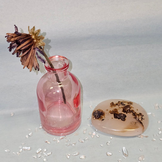 Agate Palm #456 image 0