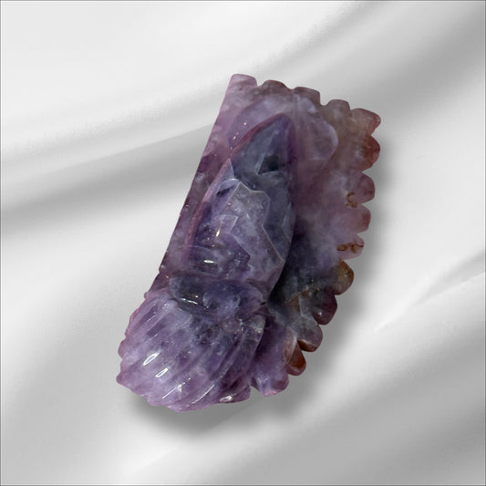 Amethyst Squid