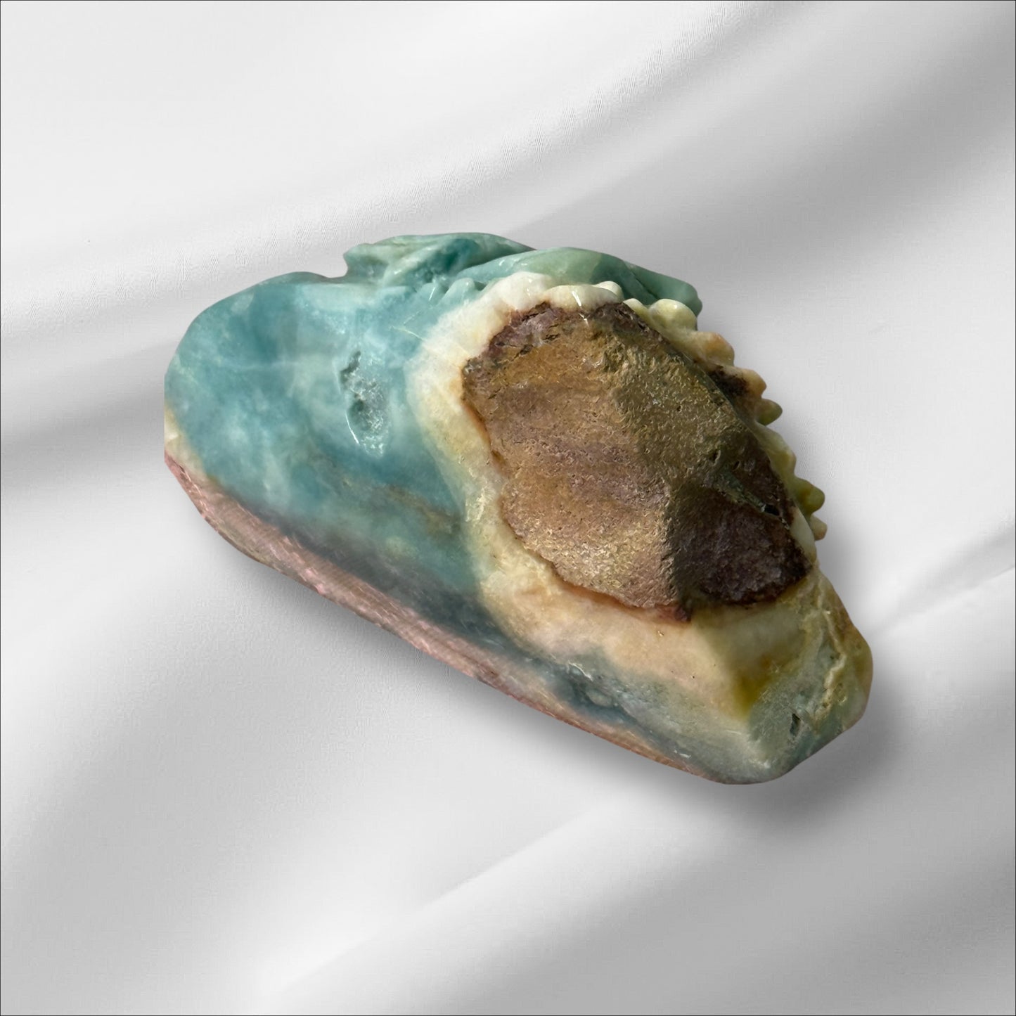 Caribbean Calcite Fish