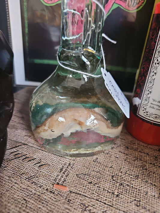 Baby Shark #643 image 0