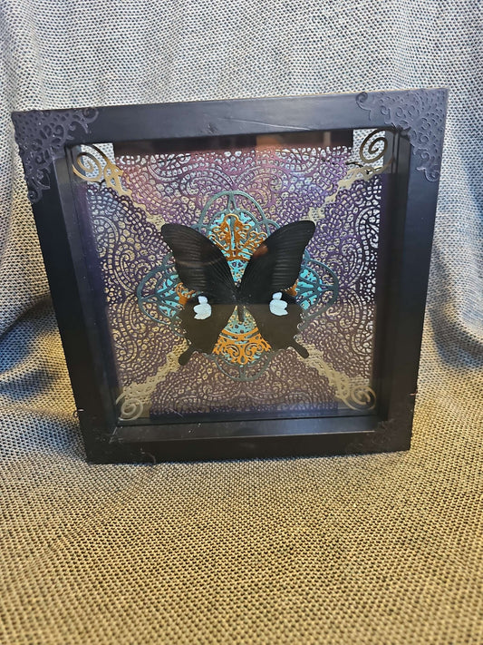 Black Butterfly Black Background #618 image 0