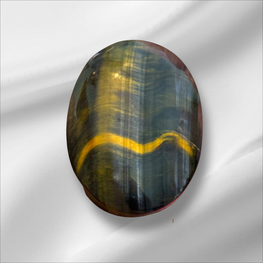 Blue Tiger Eye Palm