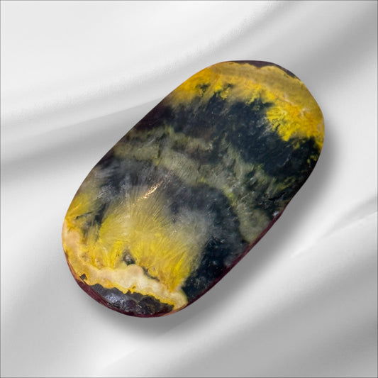 Bumblebee Jasper Palm