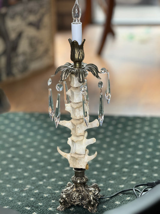 Medium Bone Lamp