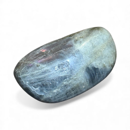 C12-29 Labradorite Palm