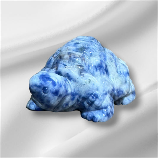 Blue Spotted Jasper Tortoise