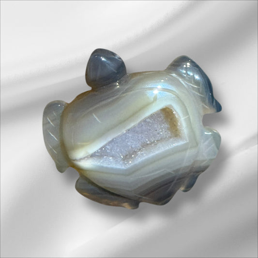 C12-67 Druzy Agate Sea Turtle