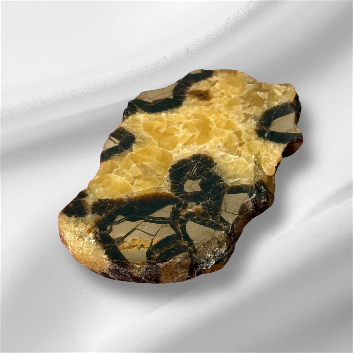 Septarian Slab UV+