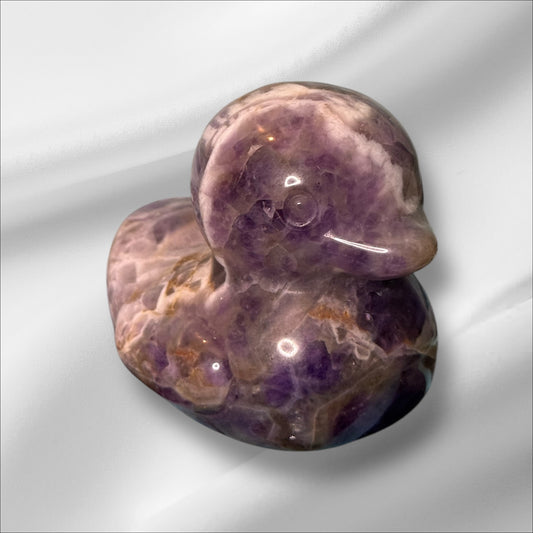 Amethyst Duck