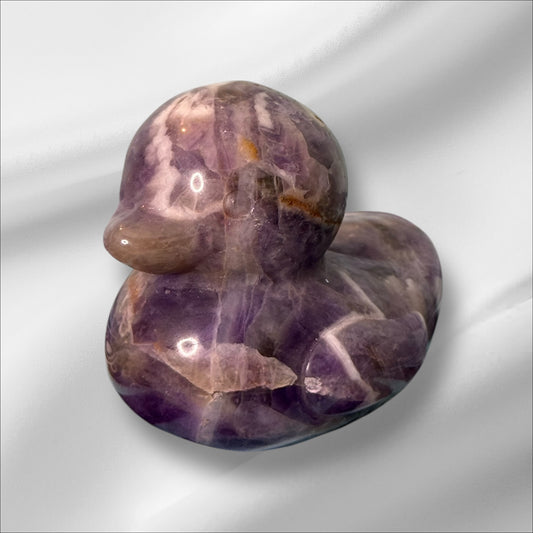 Amethyst Duck