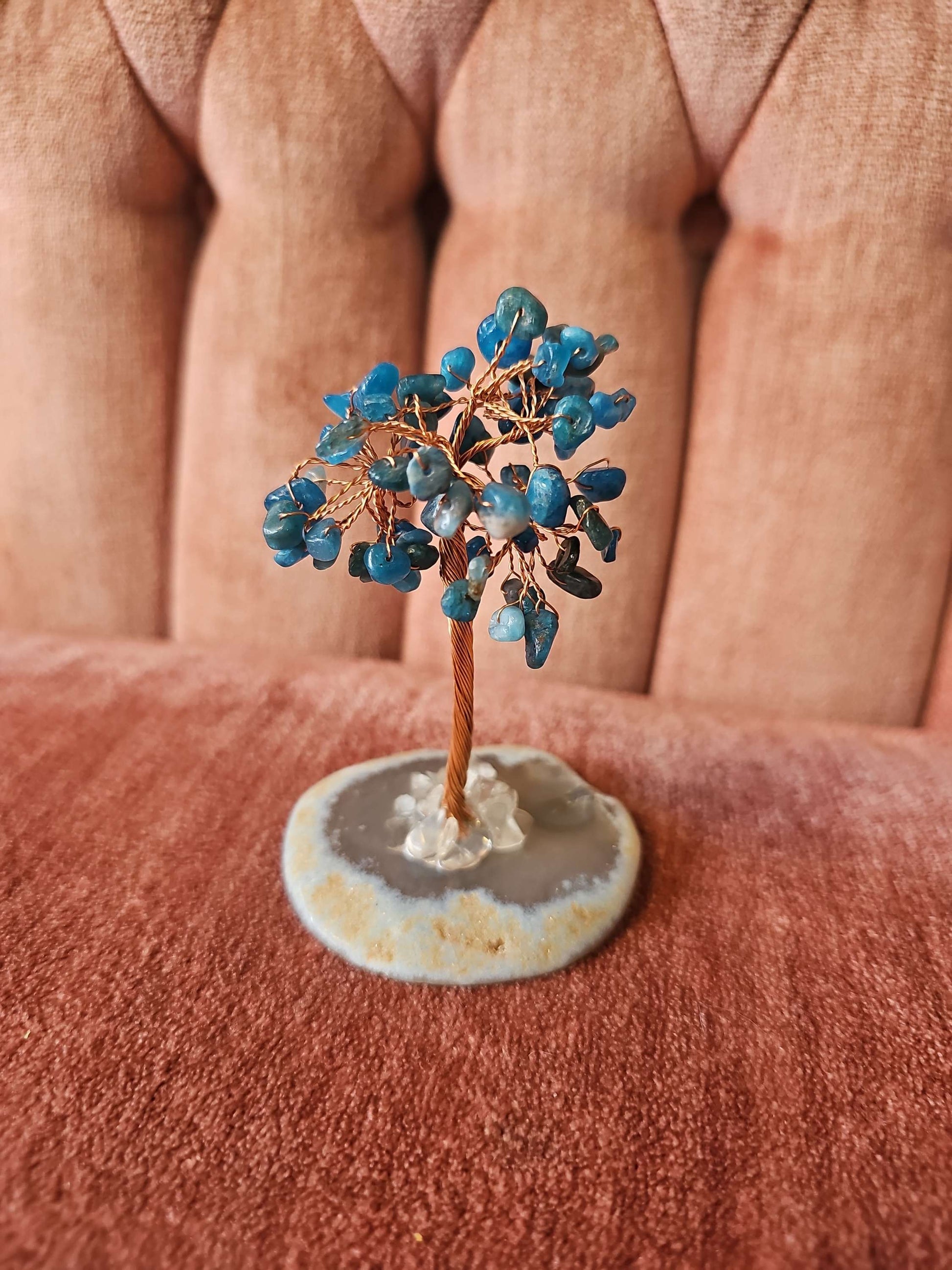 Apatite Tree #464 image 0
