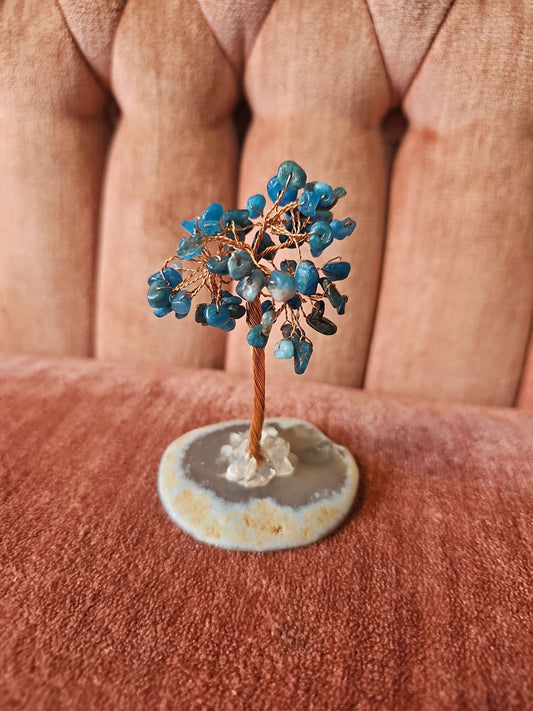 Apatite Tree #464 image 0