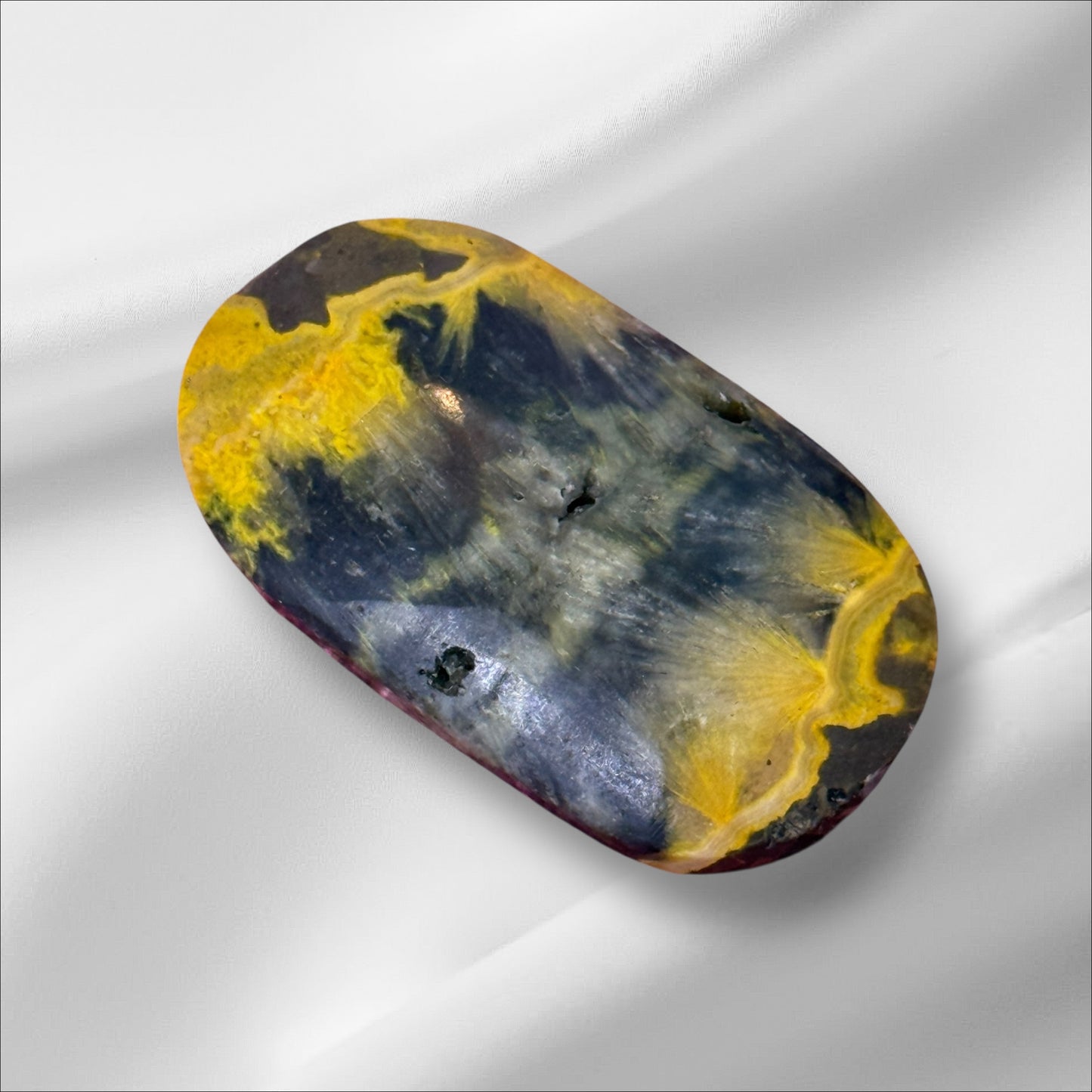 Bumblebee Jasper Palm