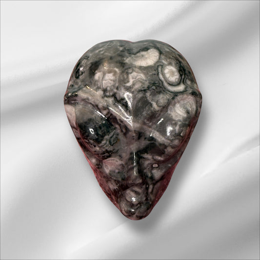 Fossil Jasper Alien