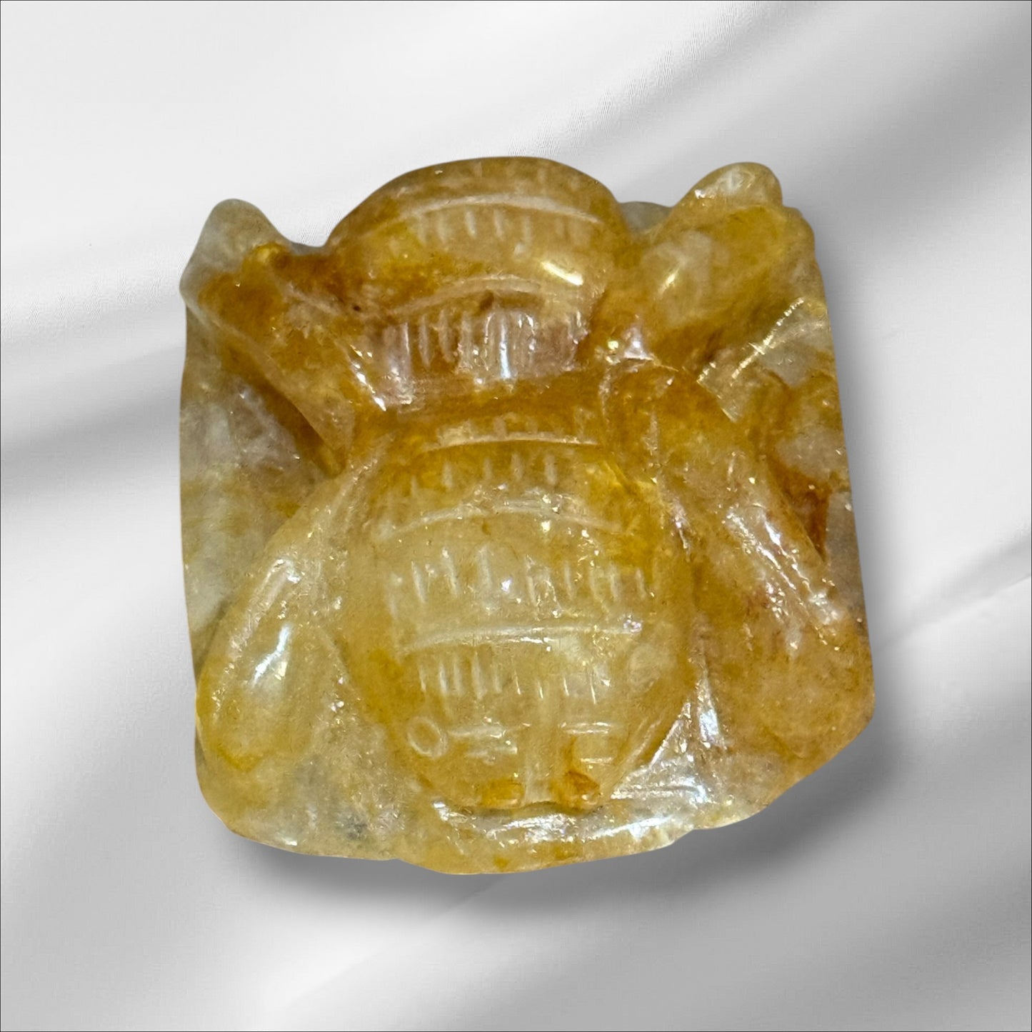 Golden Healer Spider