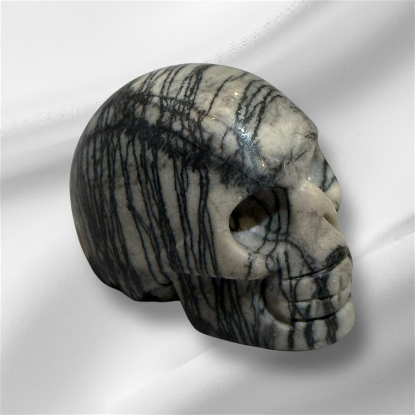 Network Jasper Skull