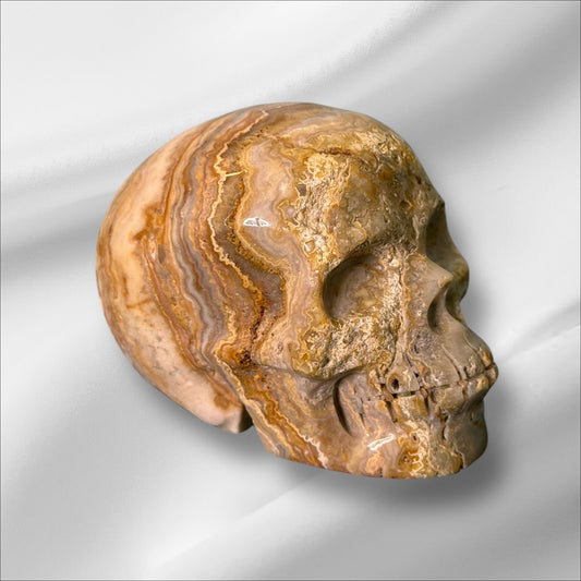 Agate Laced Skull