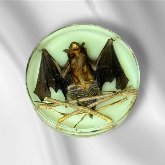 C12-74 Glow-in-the-Dark Resin Bat