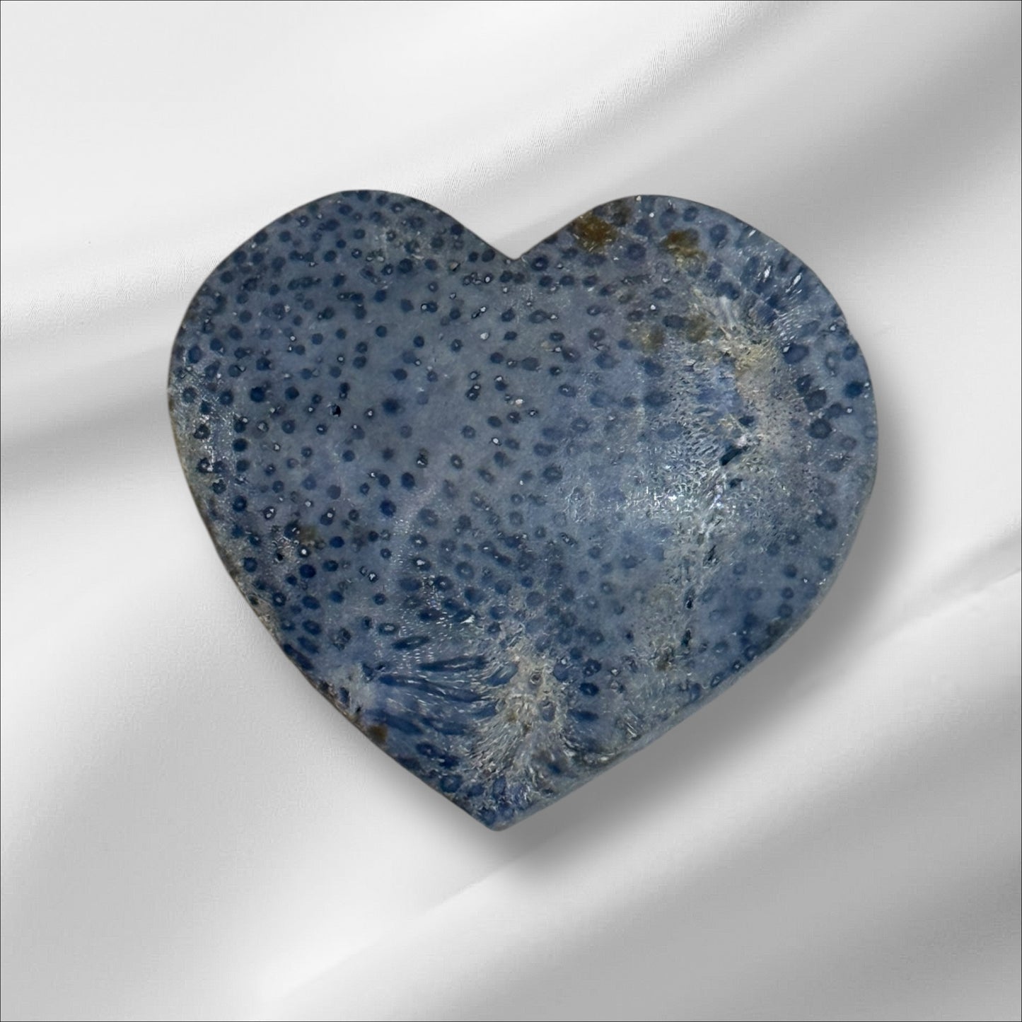 Blue Coral Heart