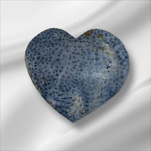 Blue Coral Heart